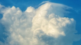 A large, fluffy cumulus cloud fills the sky, illuminated by sunlight against a backdrop of bright blue. The cloud has a soft texture and appears expansive and towering, with various shades of white and gray highlighting its contours.