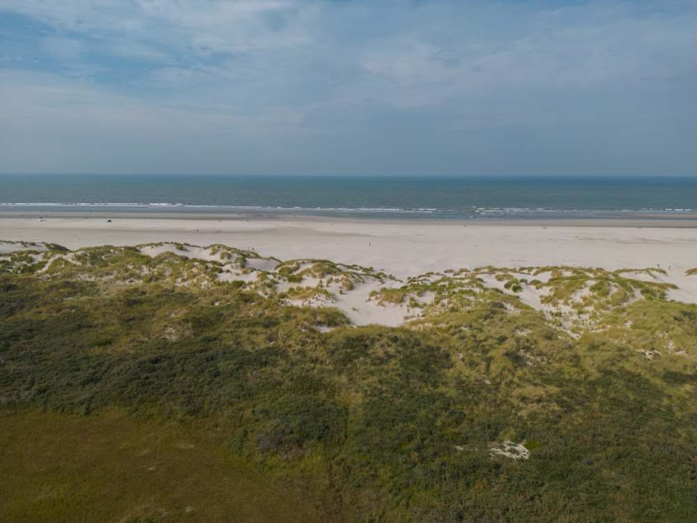 a beach with grass and sand