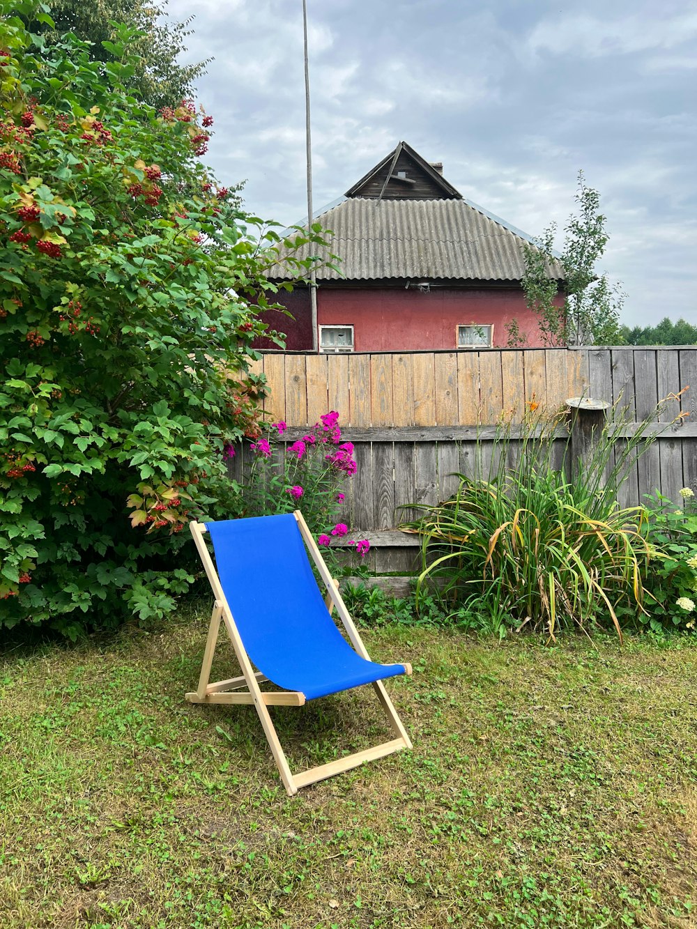 a chair in a yard