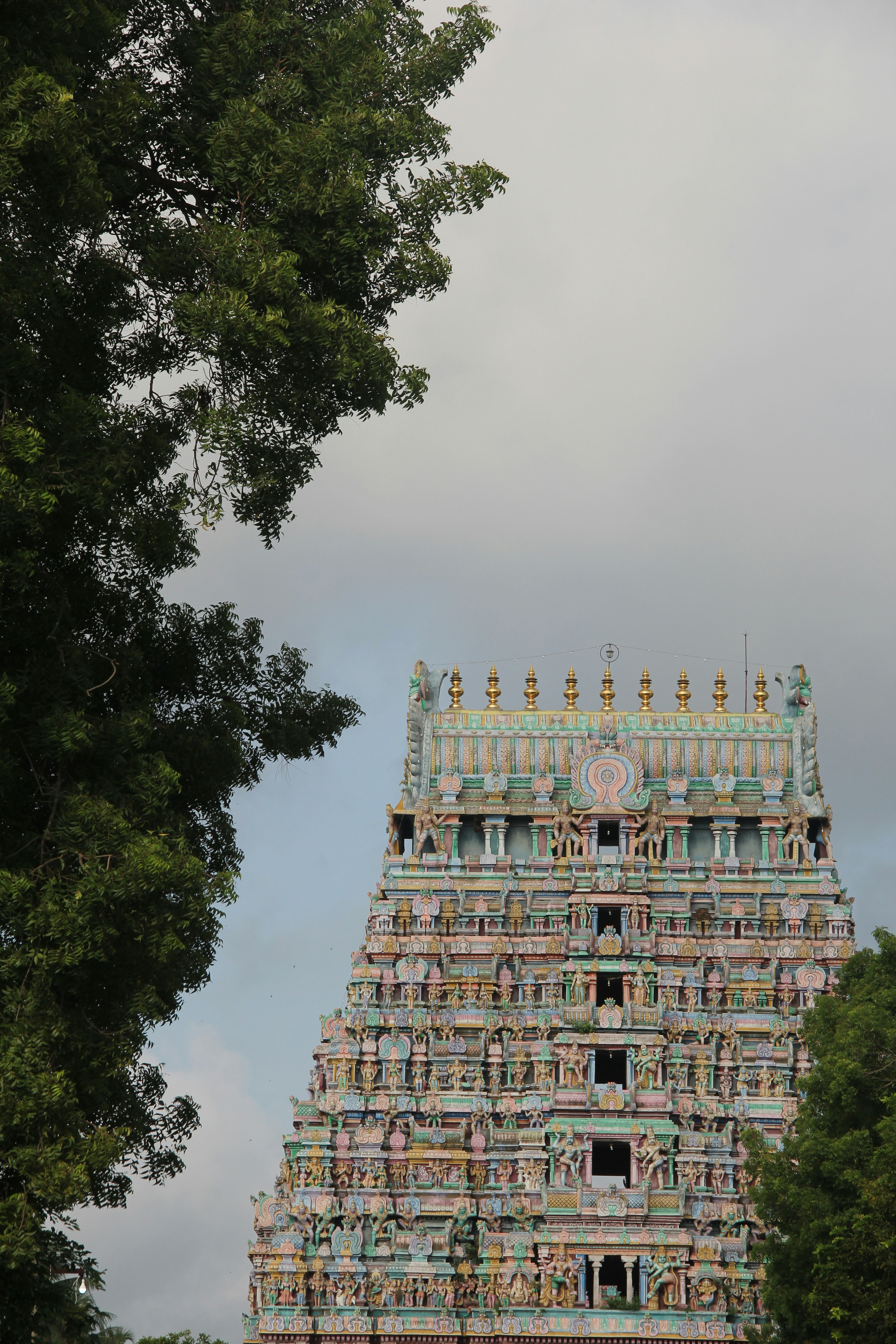 Photo by arunkarnann