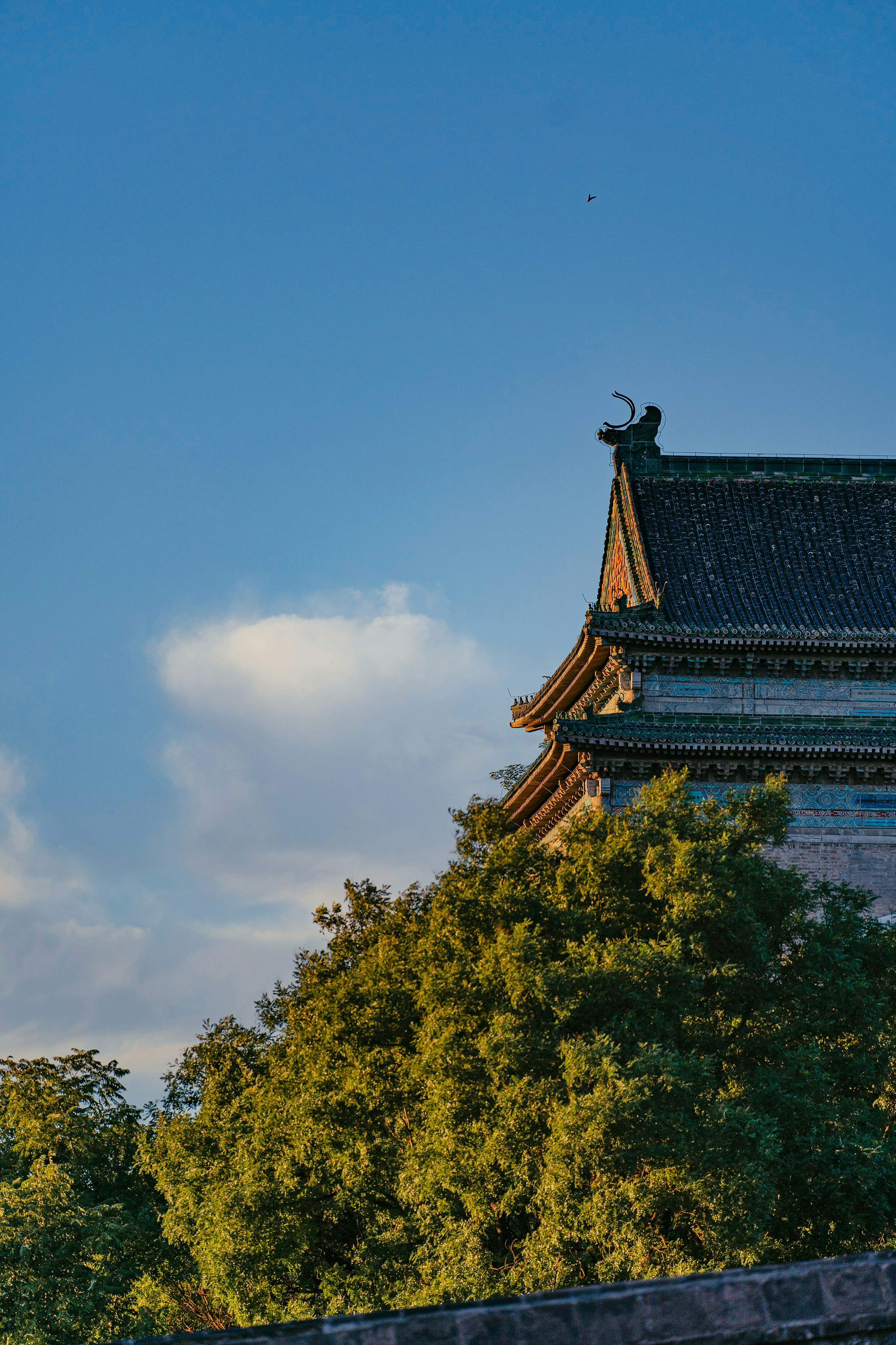 Photo by zhezidong