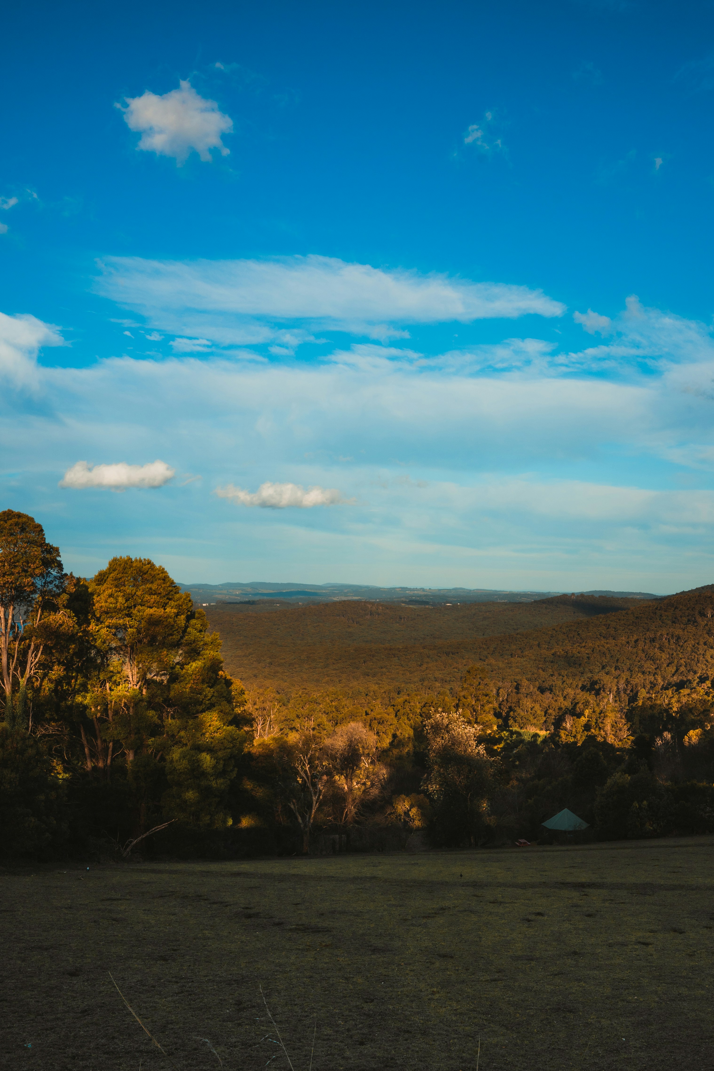um campo com árvores e uma tenda ao longe