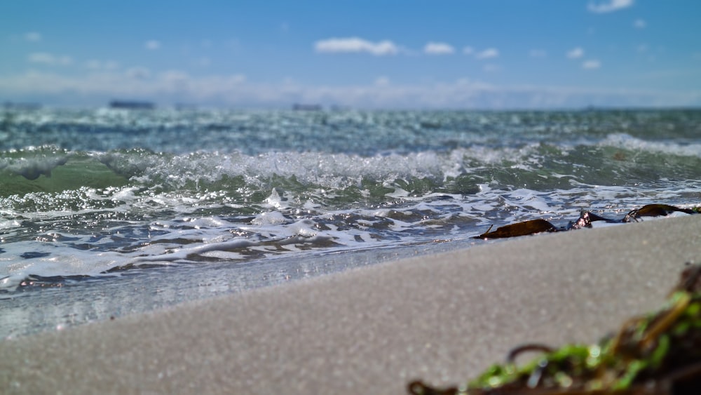 waves crashing on a beach