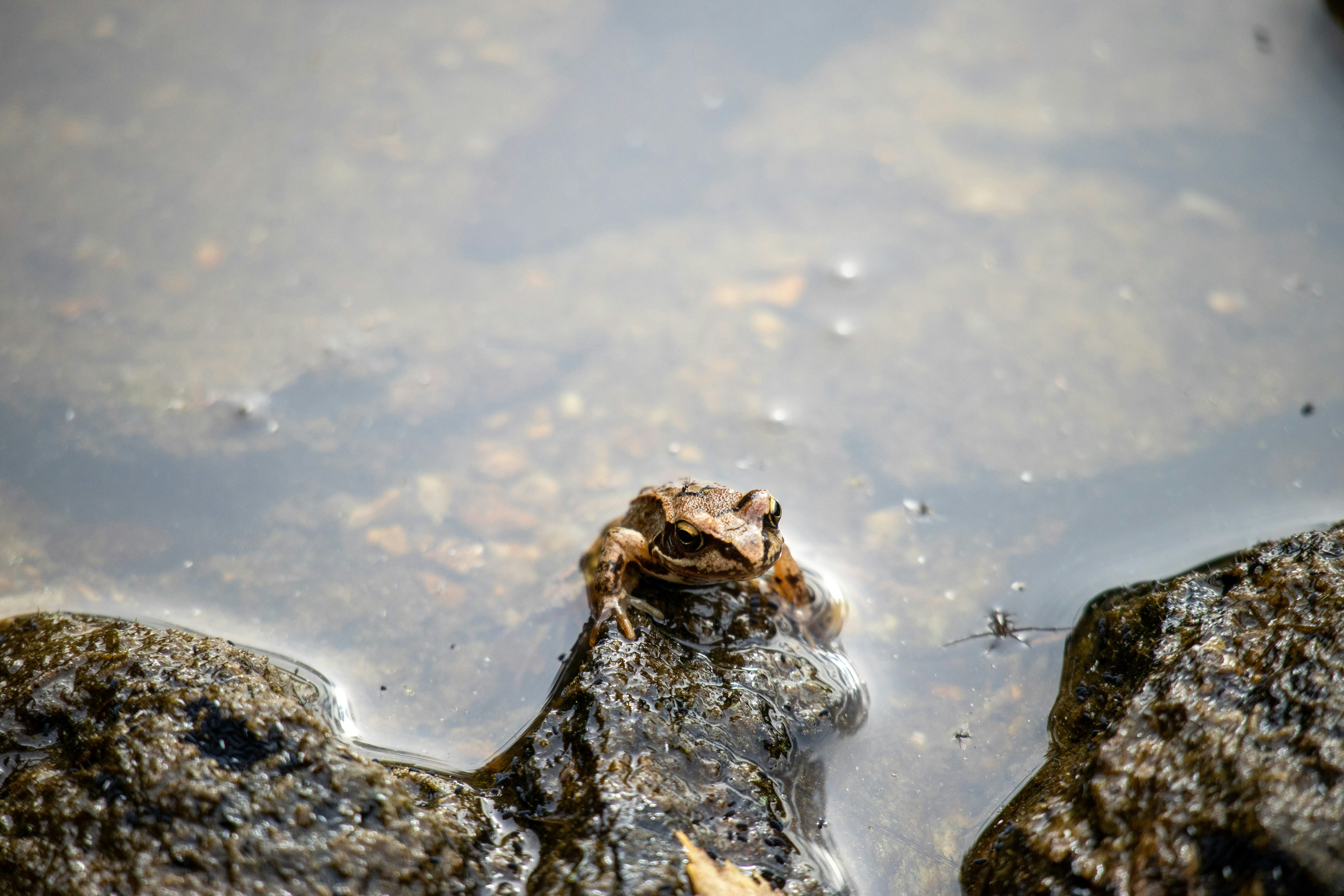 Photo by amandine_bataille_photo