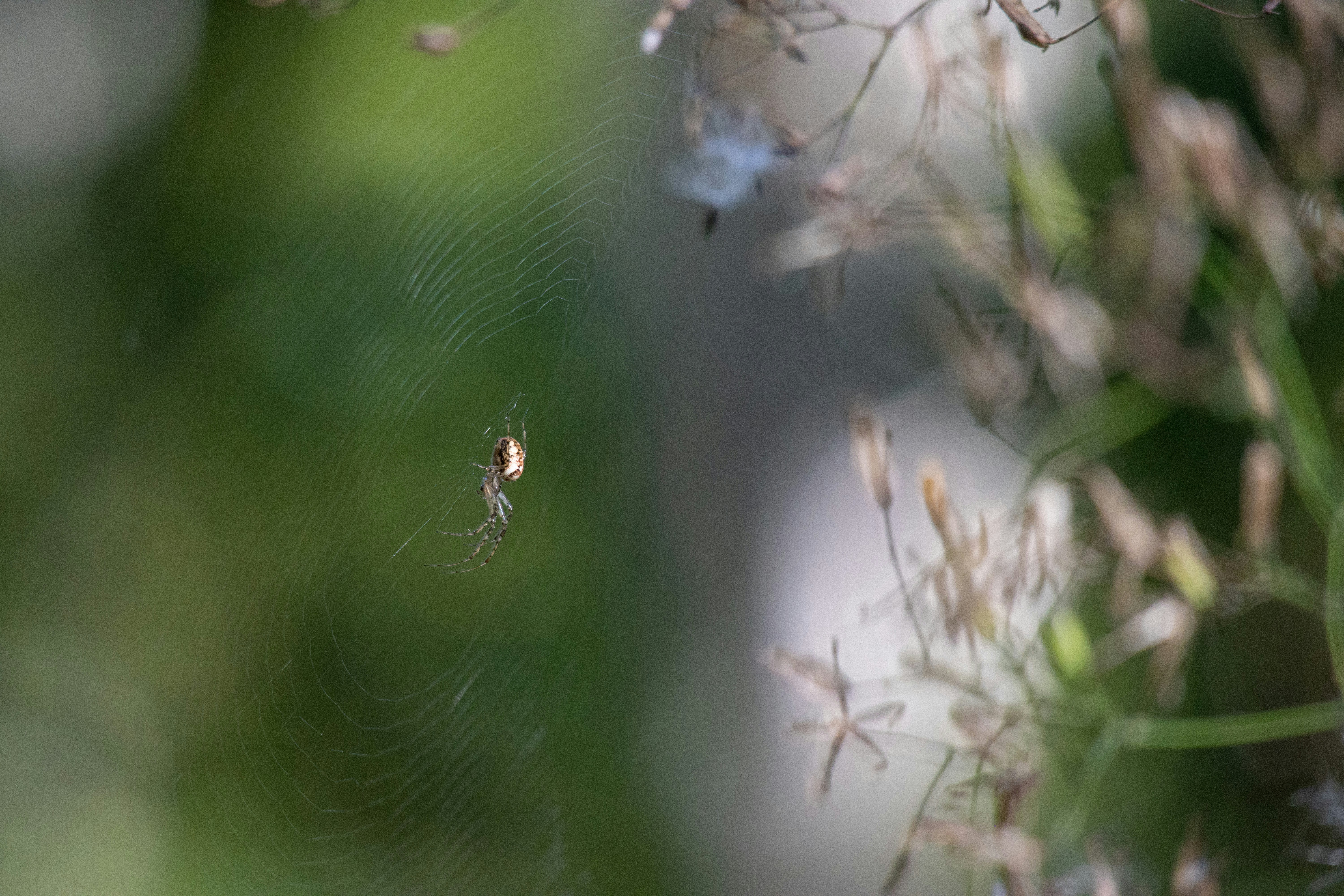 Photo by amandine_bataille_photo