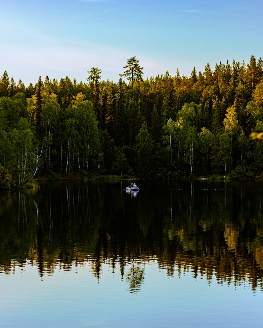 a lake surrounded by trees