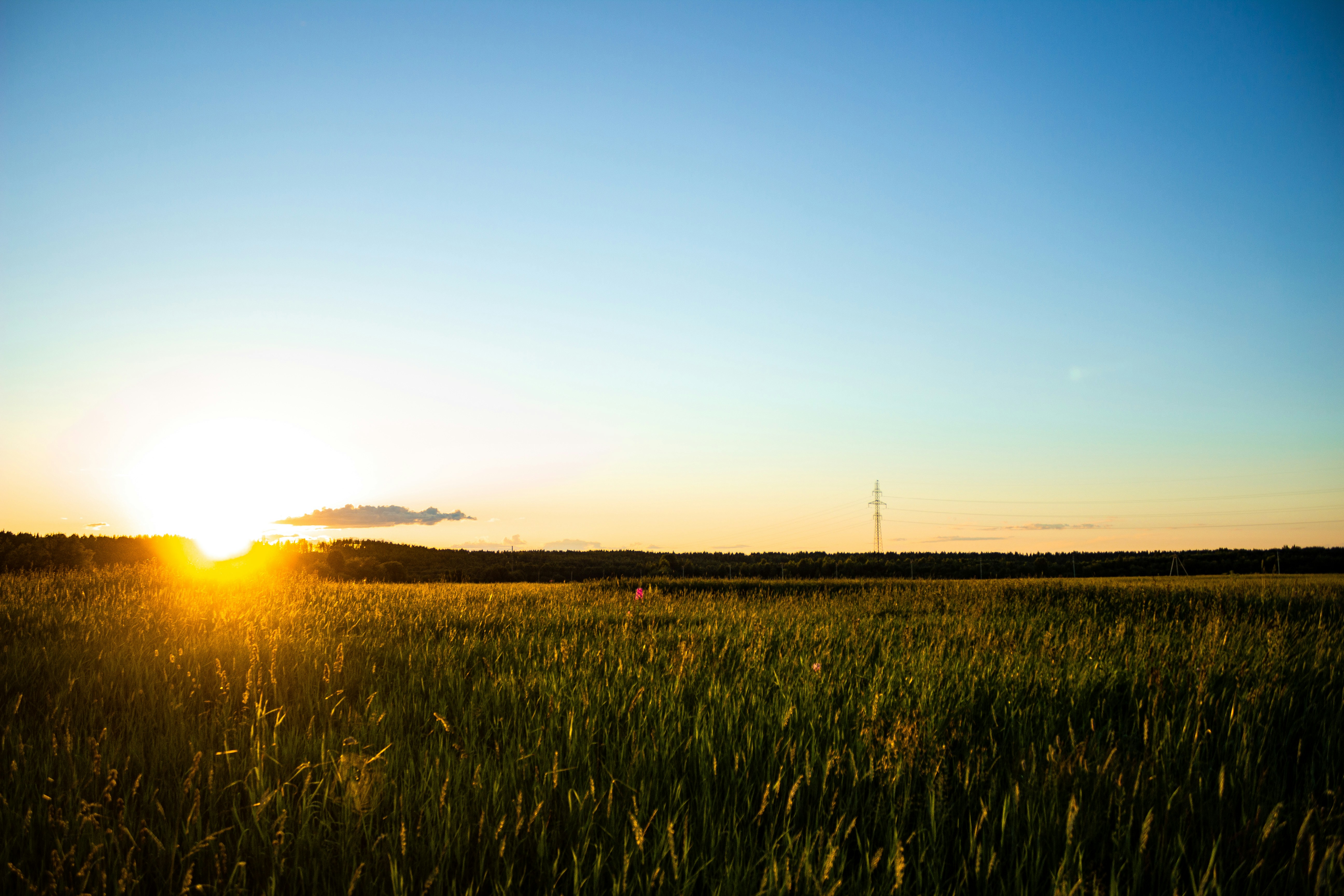 Photo by arsenijvolkov