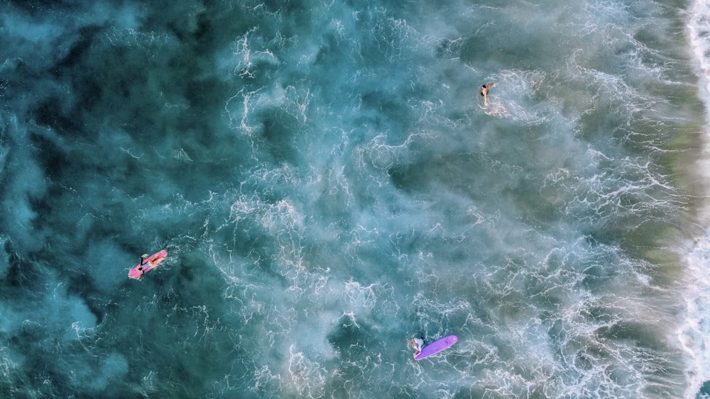 a group of people surfing in the sea