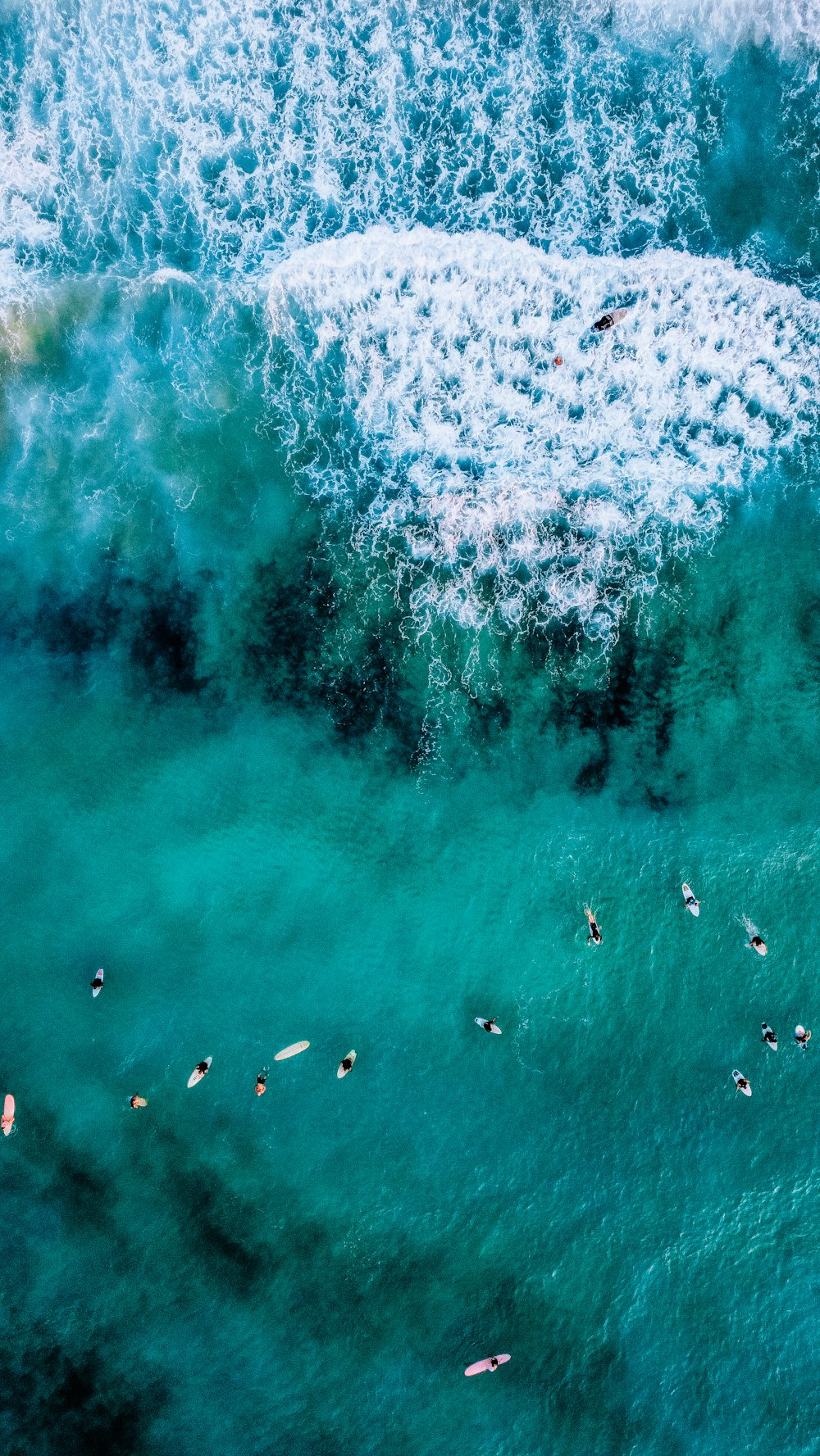 a group of people swimming in the ocean