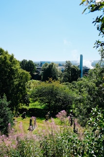 A lush green landscape with trees and shrubs in the foreground, leading to a distant view of urban structures partially obscured by vegetation. A tall white chimney emits smoke or steam, indicating industrial activity. Wildflowers with pink blossoms can be seen in the foreground.