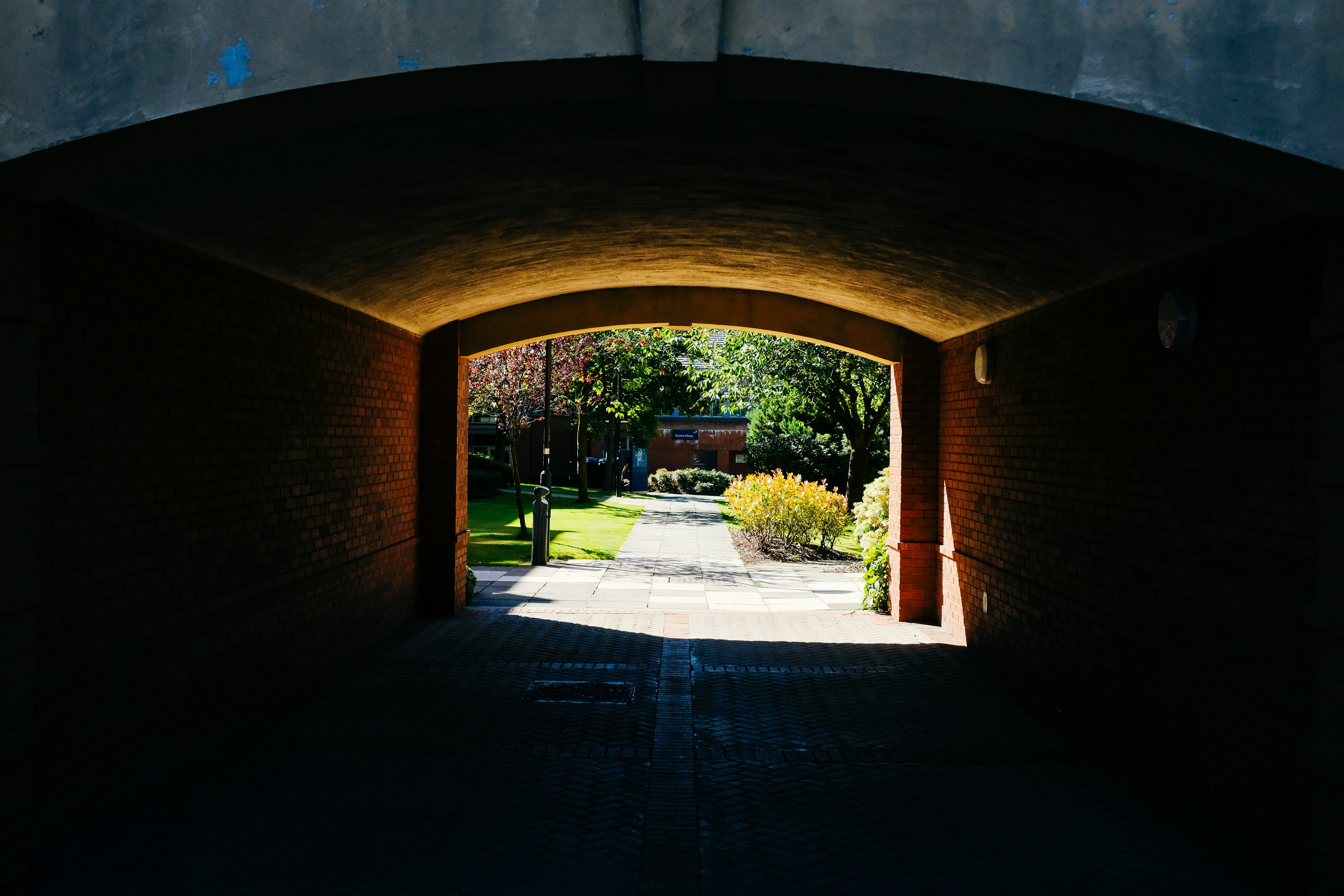 Photo by adrienolichon