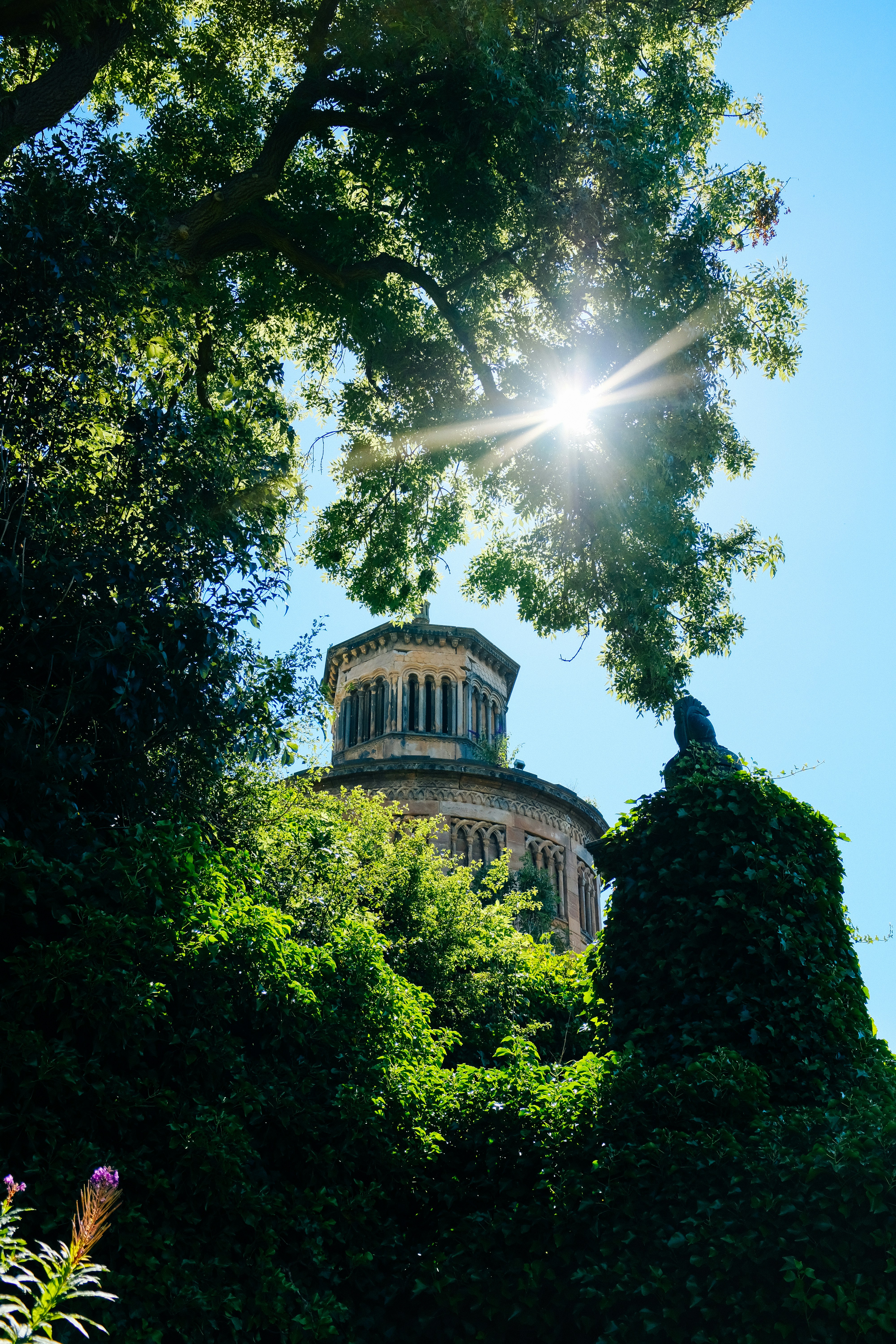 Photo by adrienolichon