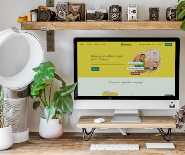 a computer monitor and plants on a table