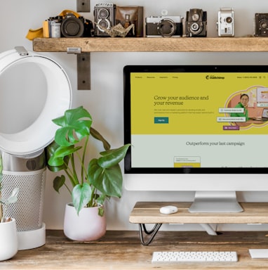 a computer monitor and plants on a table