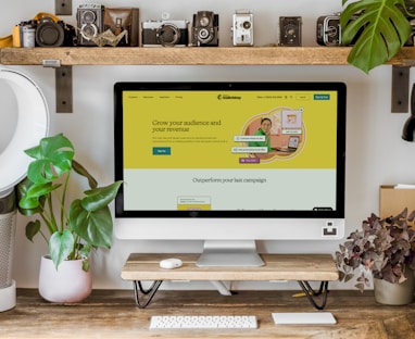 a computer monitor and plants on a table