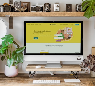 a computer monitor and plants on a table