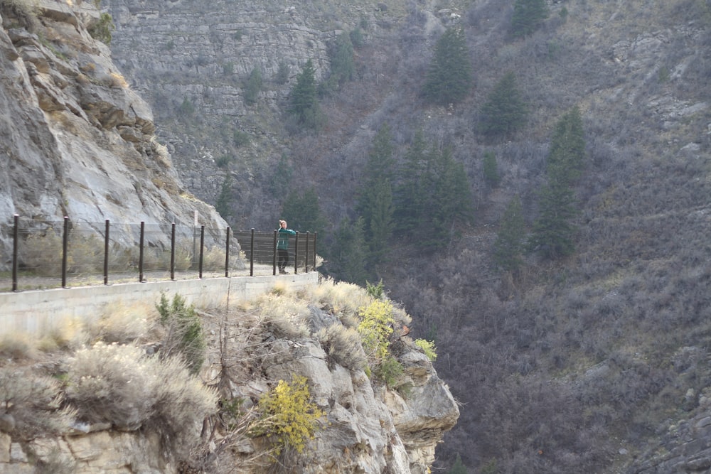 a person on a bridge over a rocky mountain