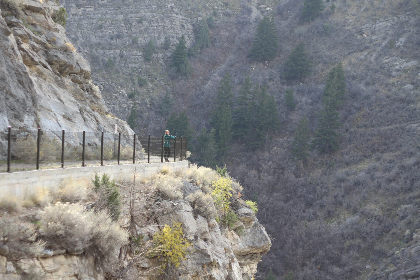 A trail beside a canyon road cut into a steep mountainside in northern Utah
