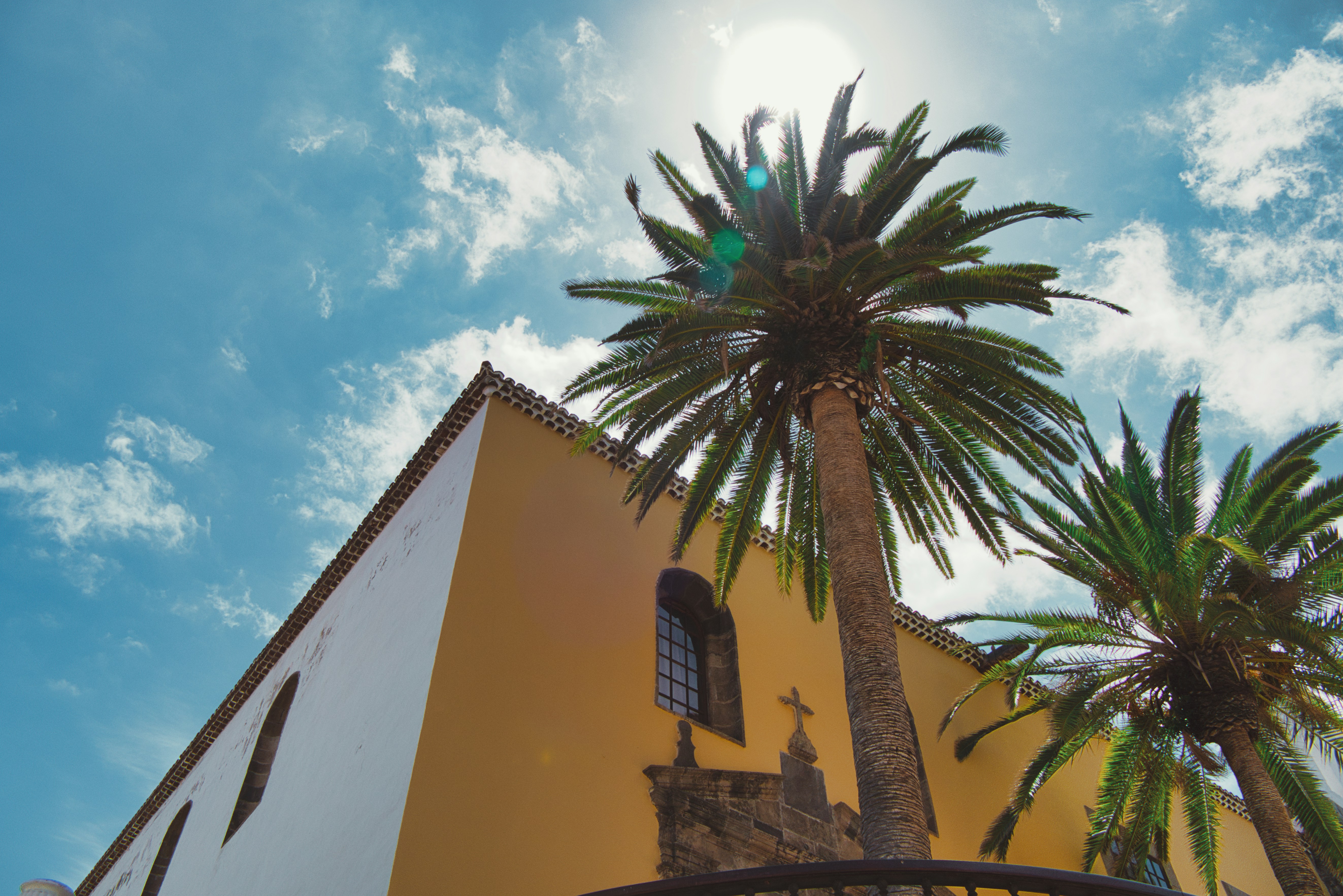 a building with palm trees