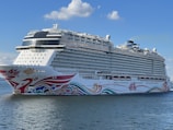 a large cruise ship