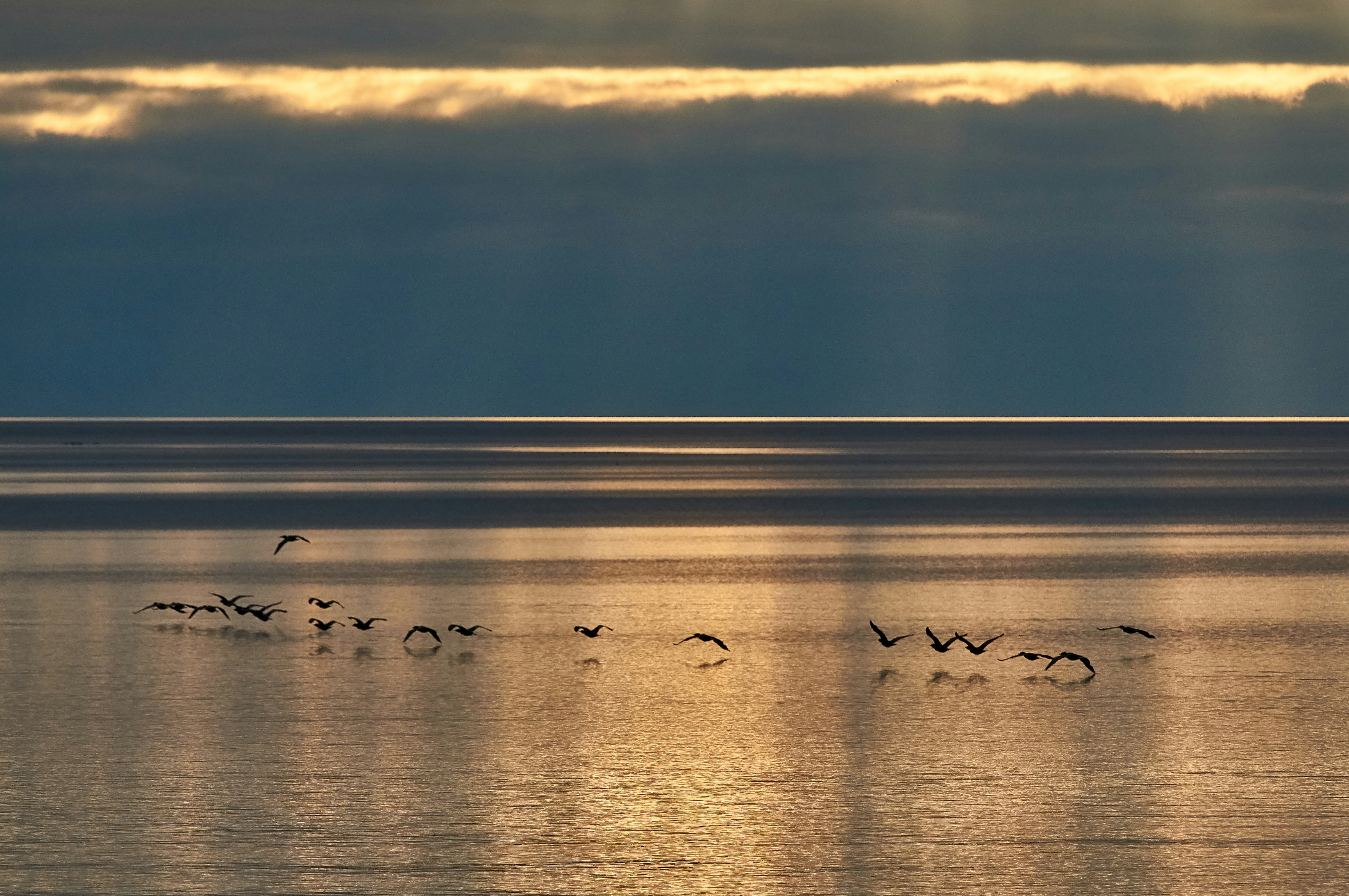 Photo by wolfgang_hasselmann