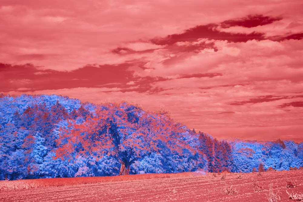 a landscape with trees and a pink and purple sky