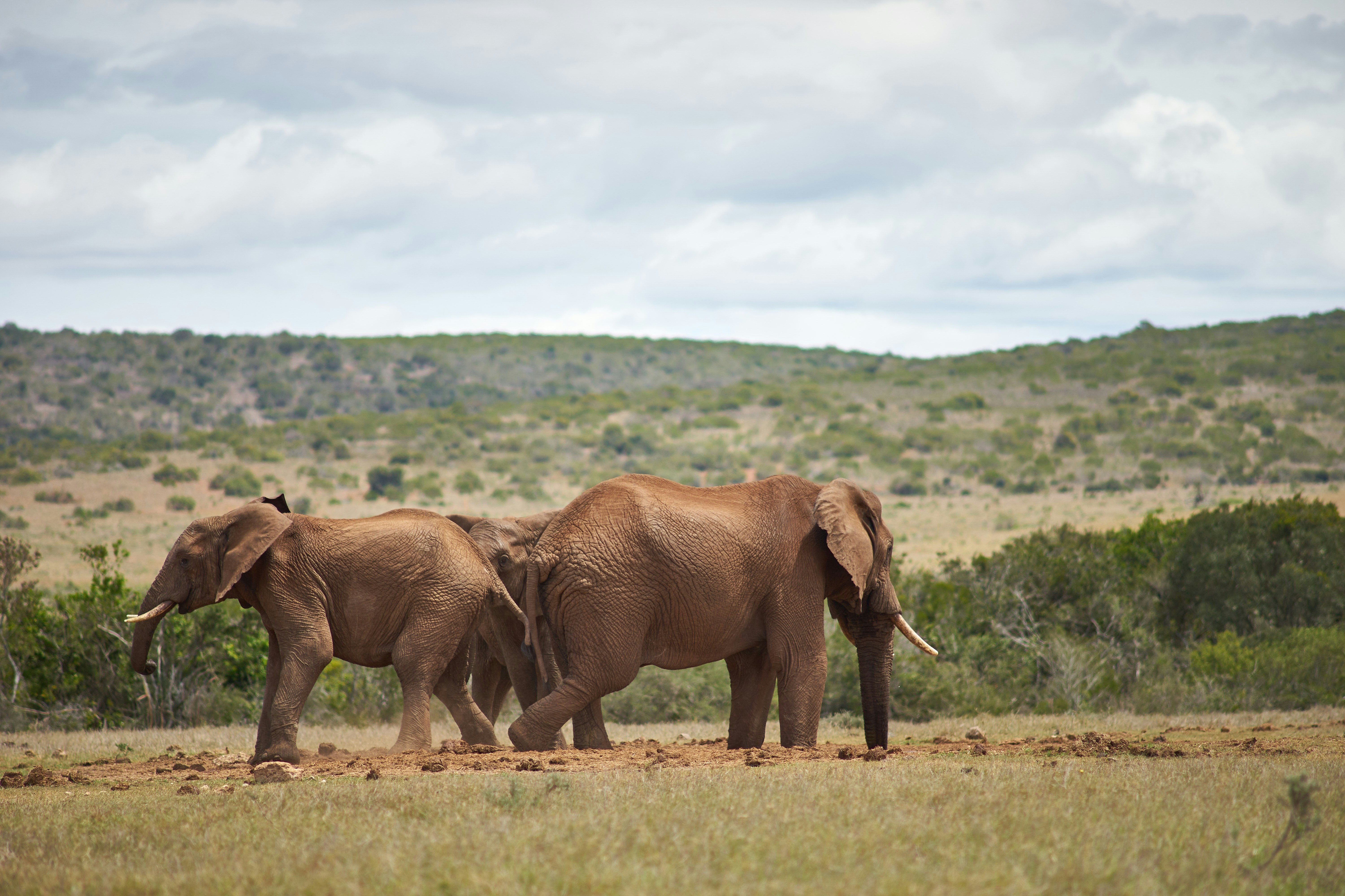 Photo by wolfgang_hasselmann