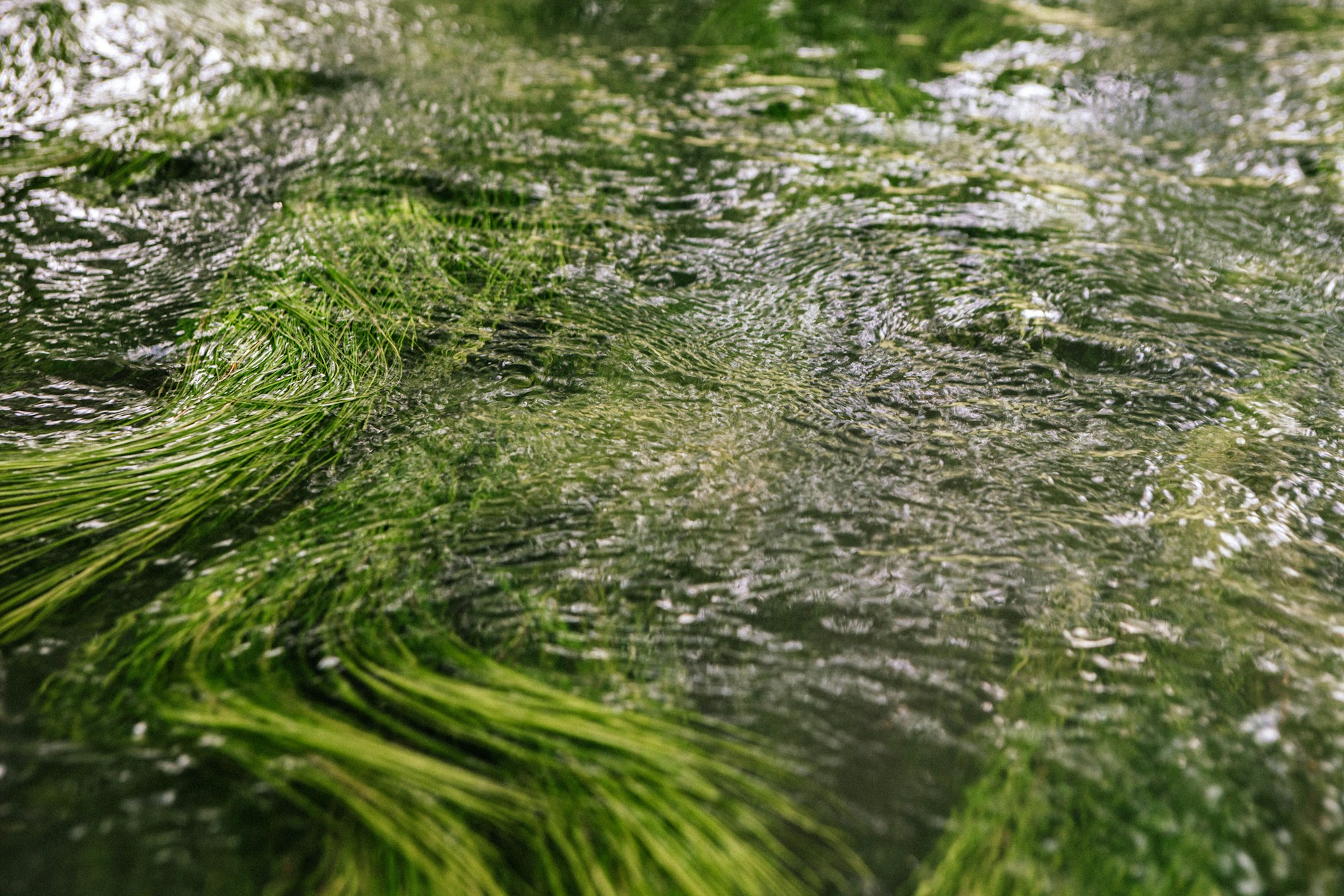 a close-up of some water