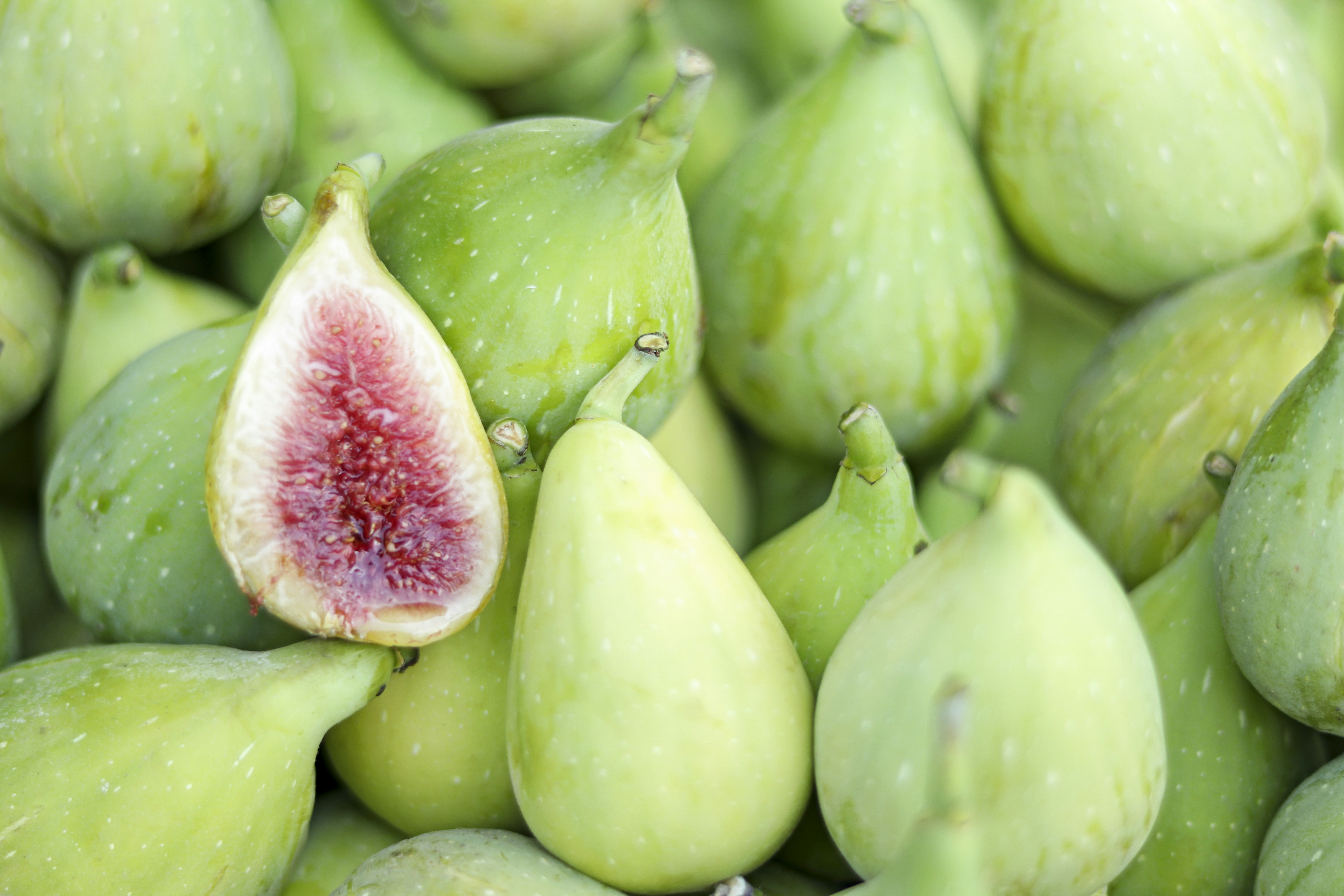 Photo by zeinabhashemi