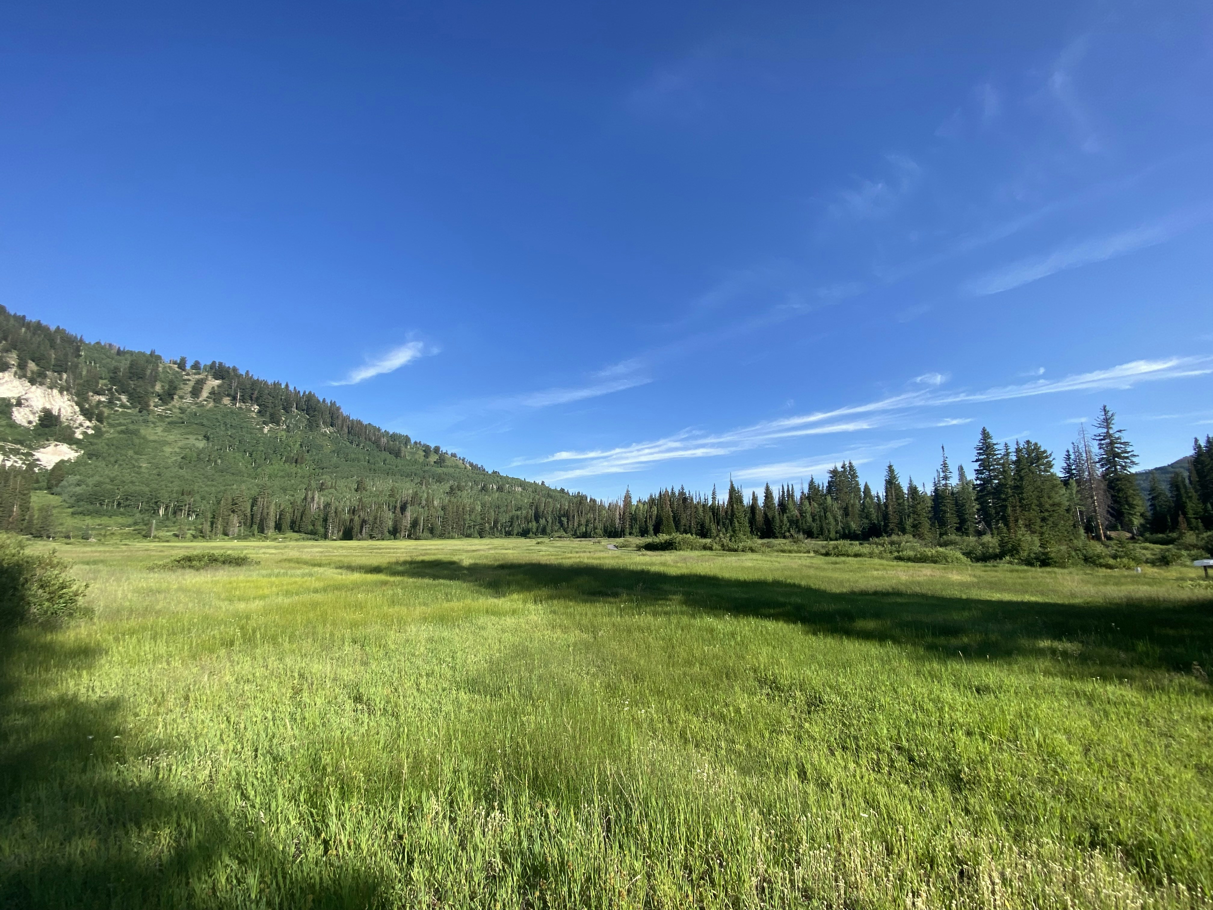 Photo by andrewltuttle