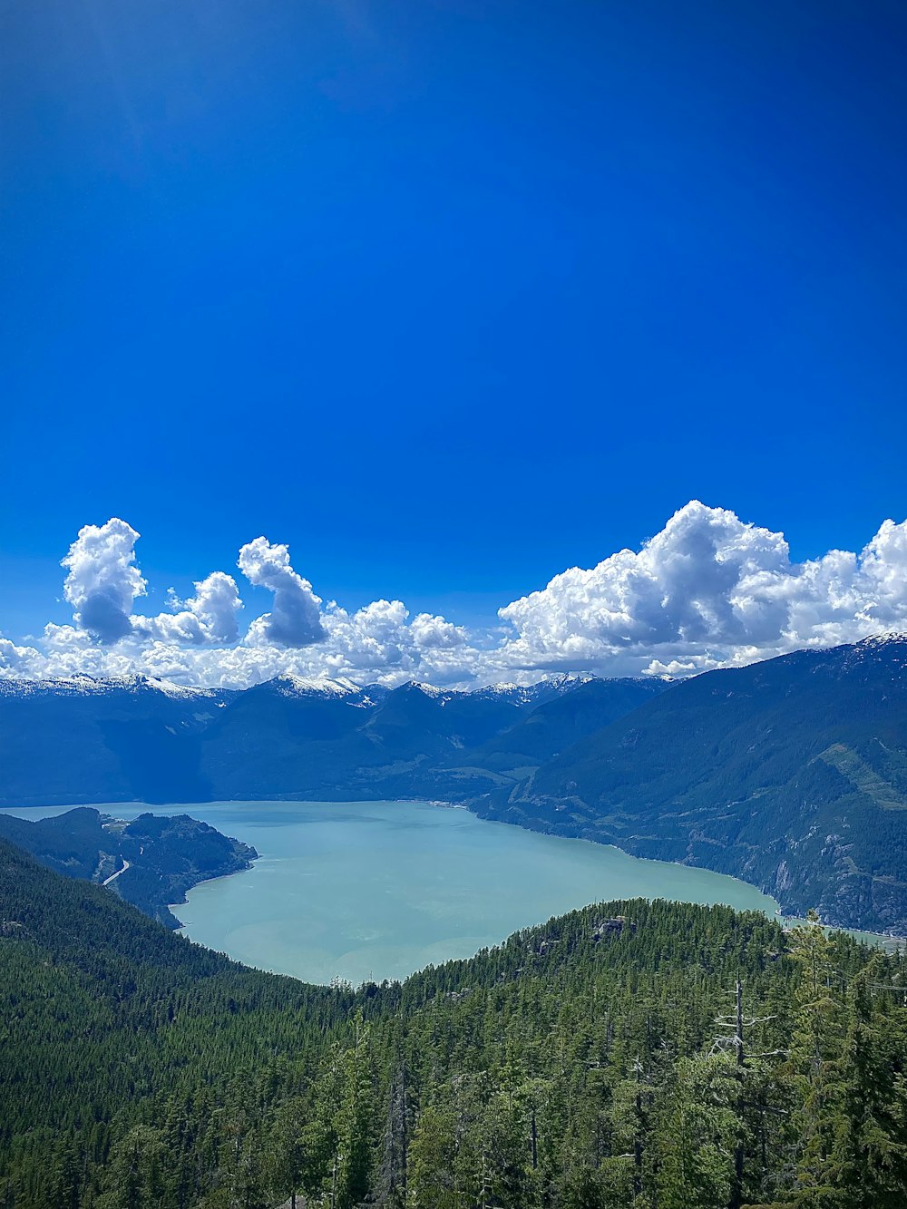 a lake surrounded by trees and mountains