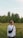 a man standing in a field