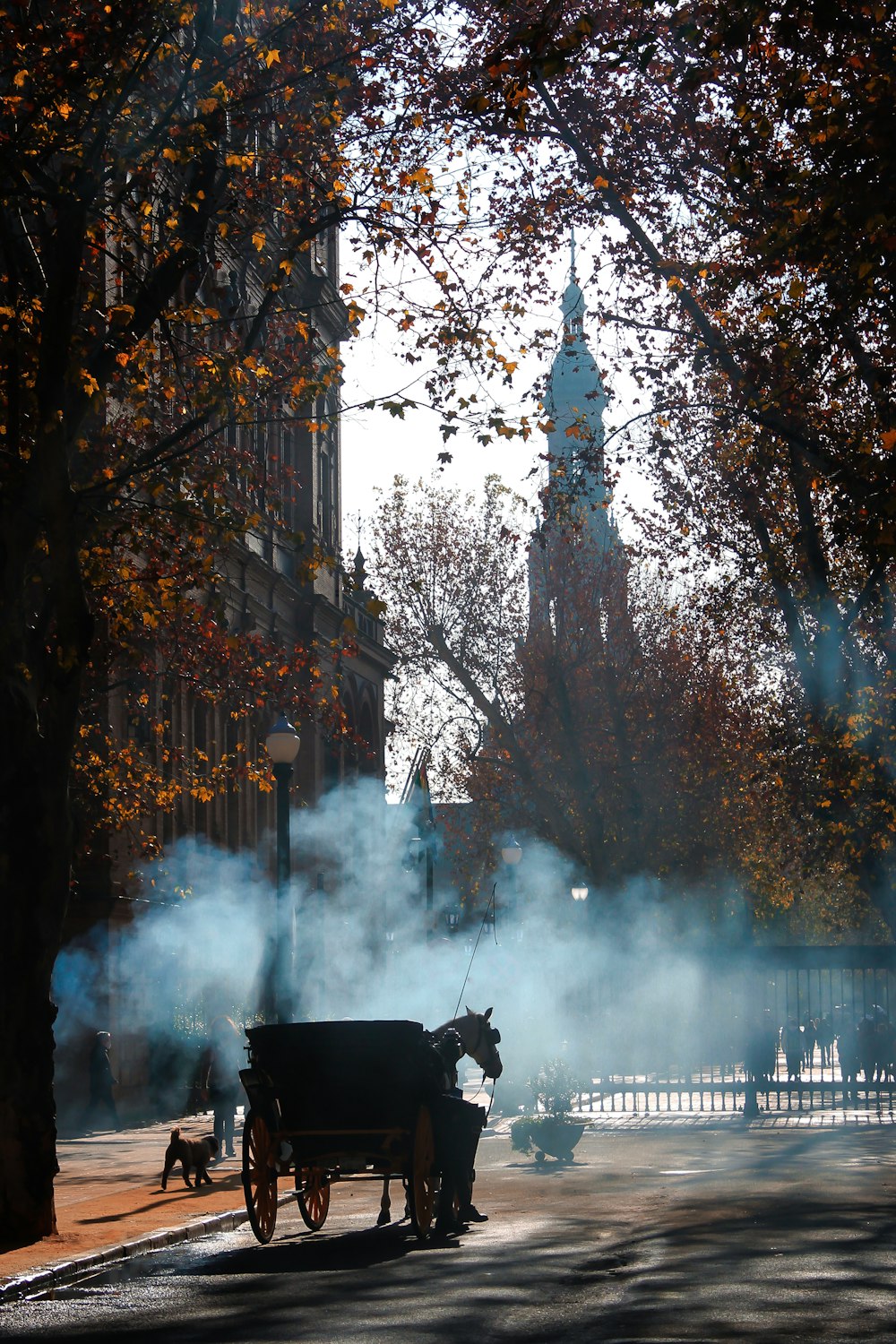 a horse carriage on a road with trees and a tall tower in the background