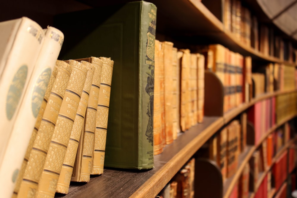 a row of books on a shelf