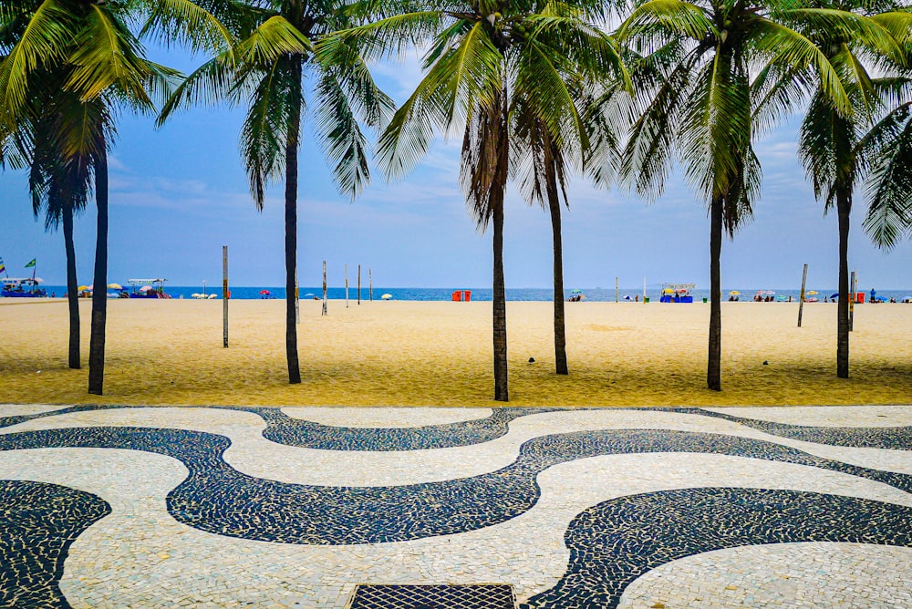 a beach with palm trees