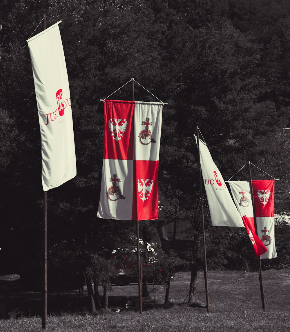 a group of flags