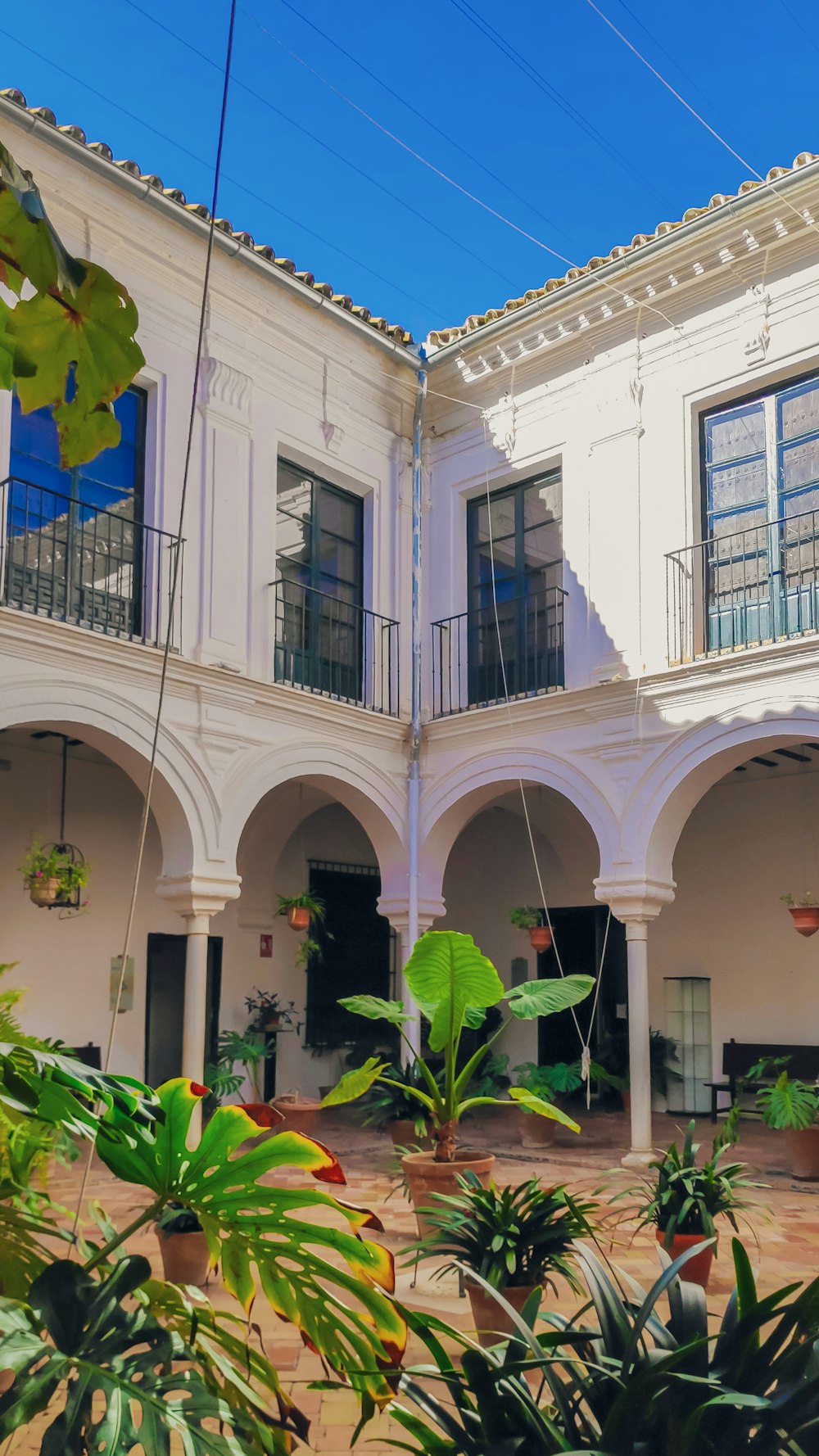 a building with plants in front of it