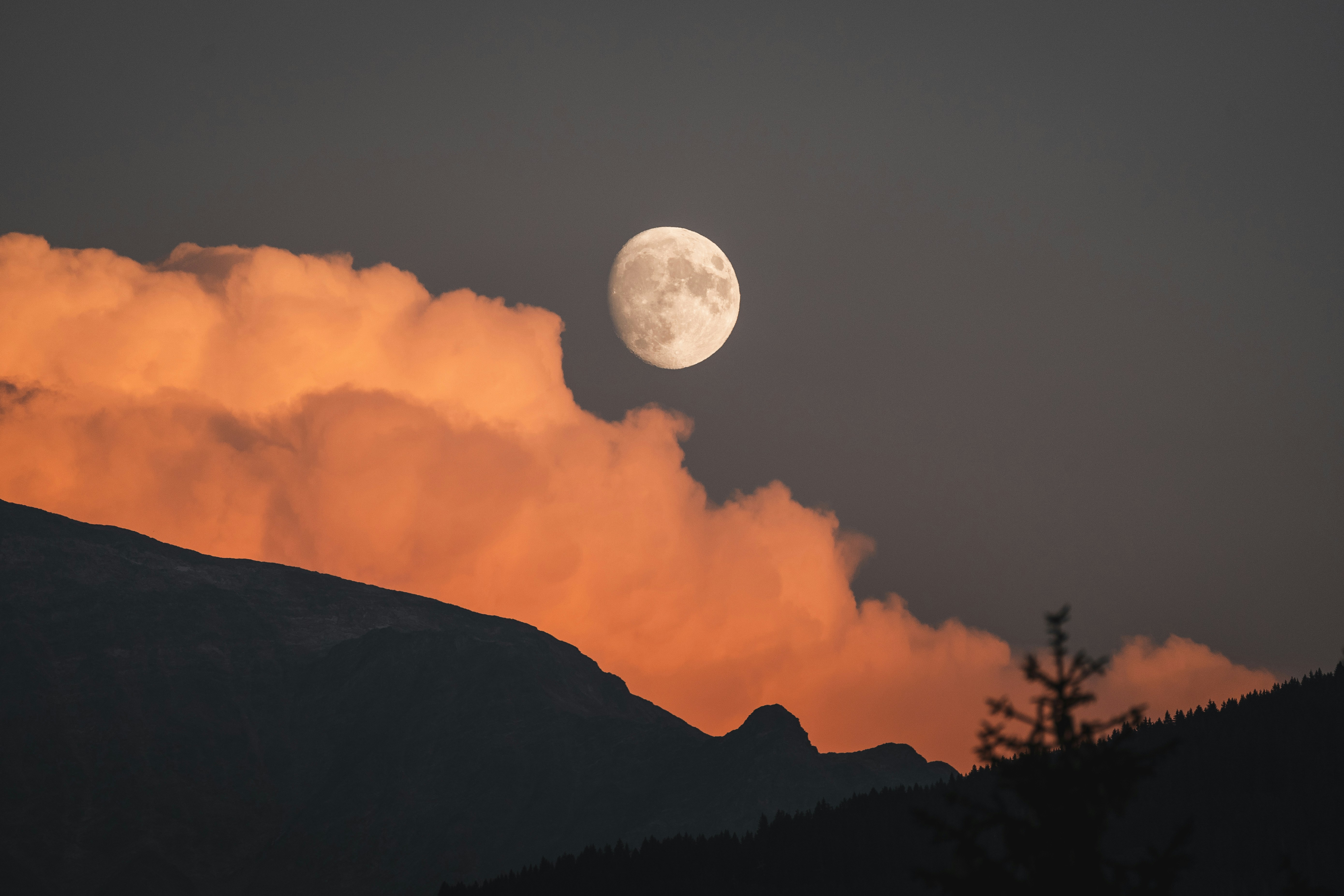 Photo by sinusfiction