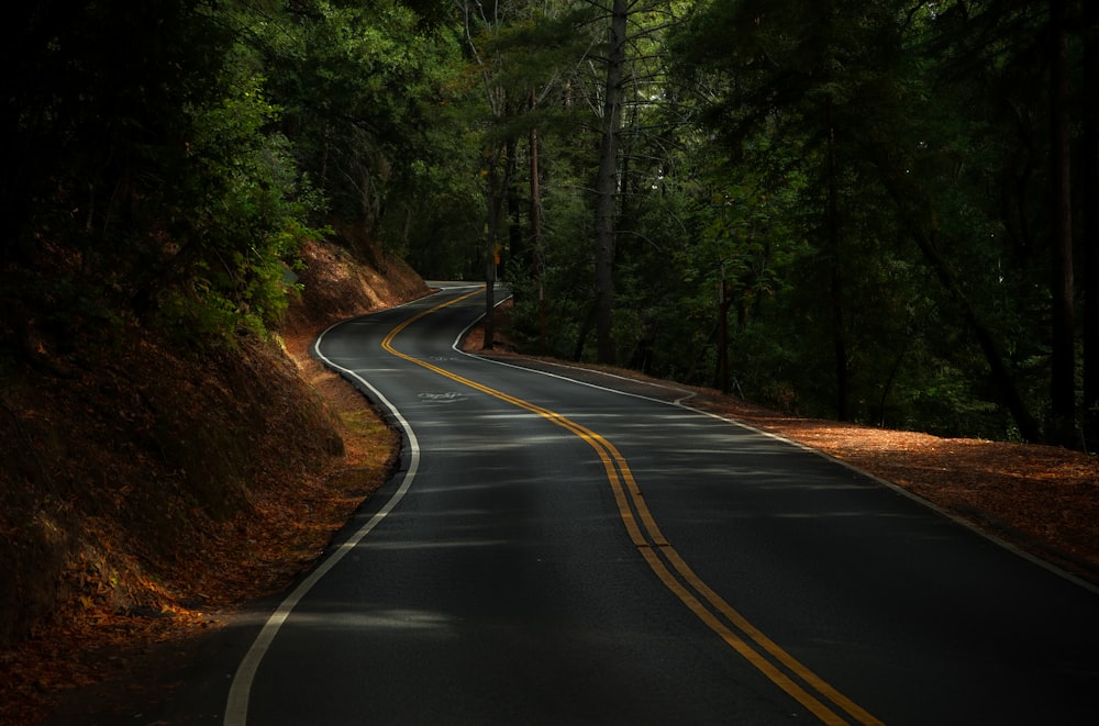 a road with trees on the side