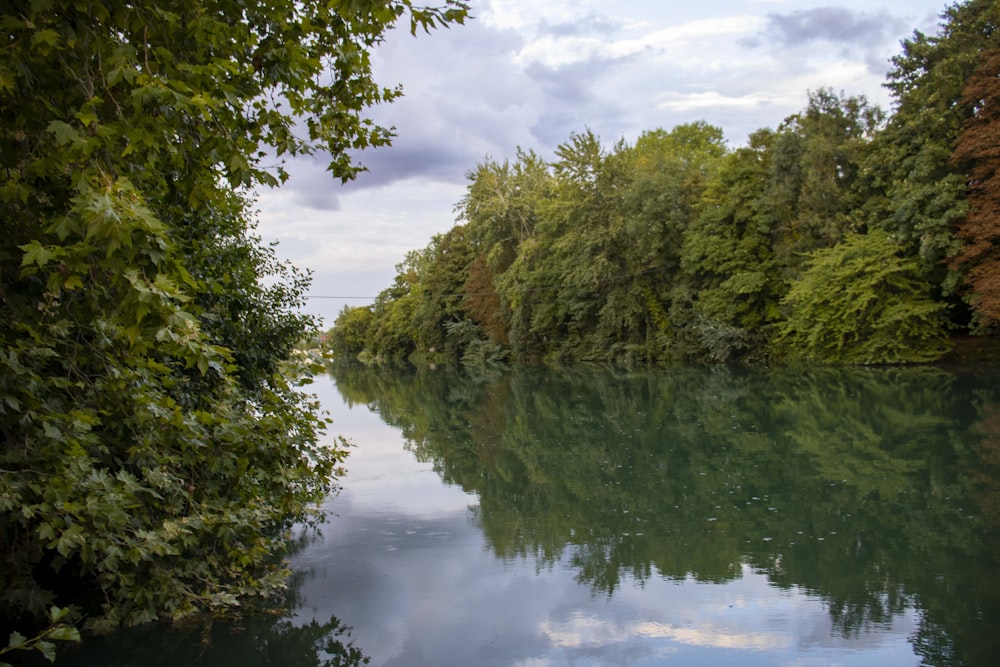 a body of water surrounded by trees