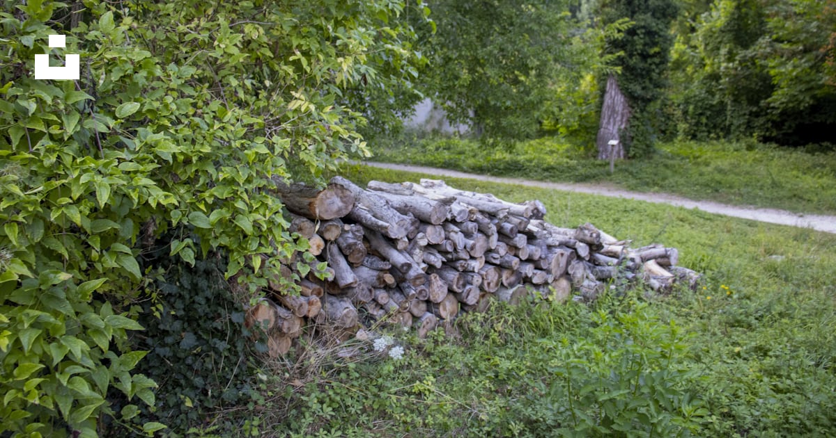 背景に彫像のある石垣の写真 Unsplashの無料ノジャン・シュル・セーヌ写真