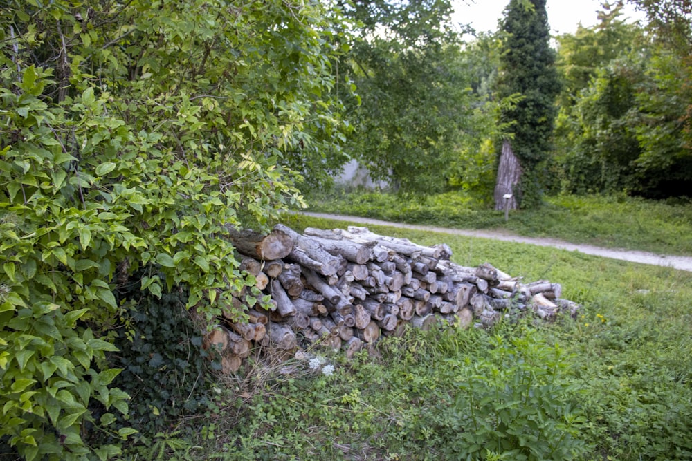 a stone wall with a statue in the background