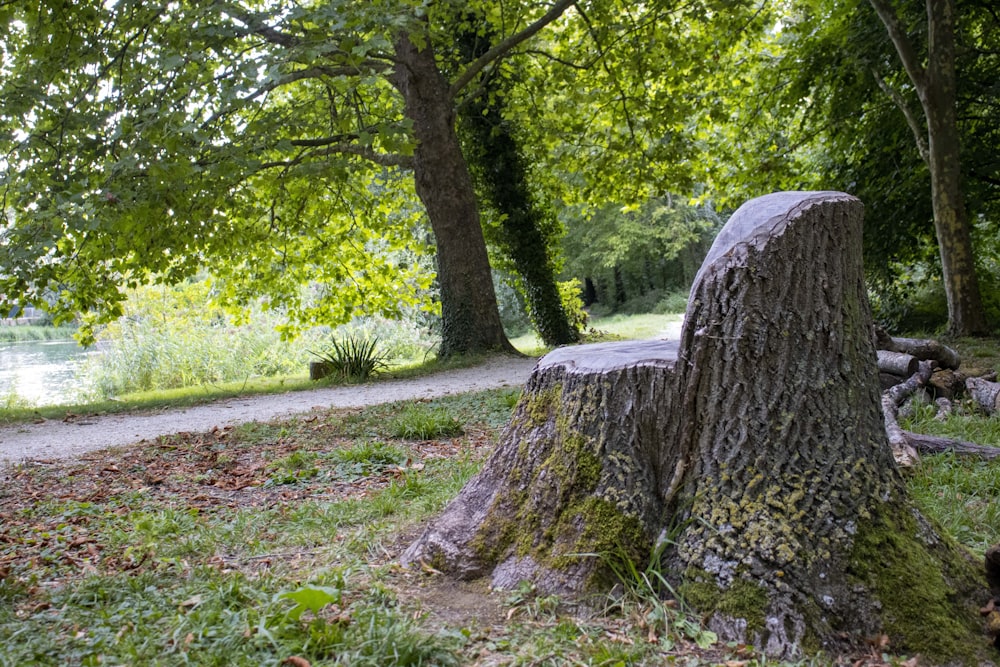 a large rock in a park