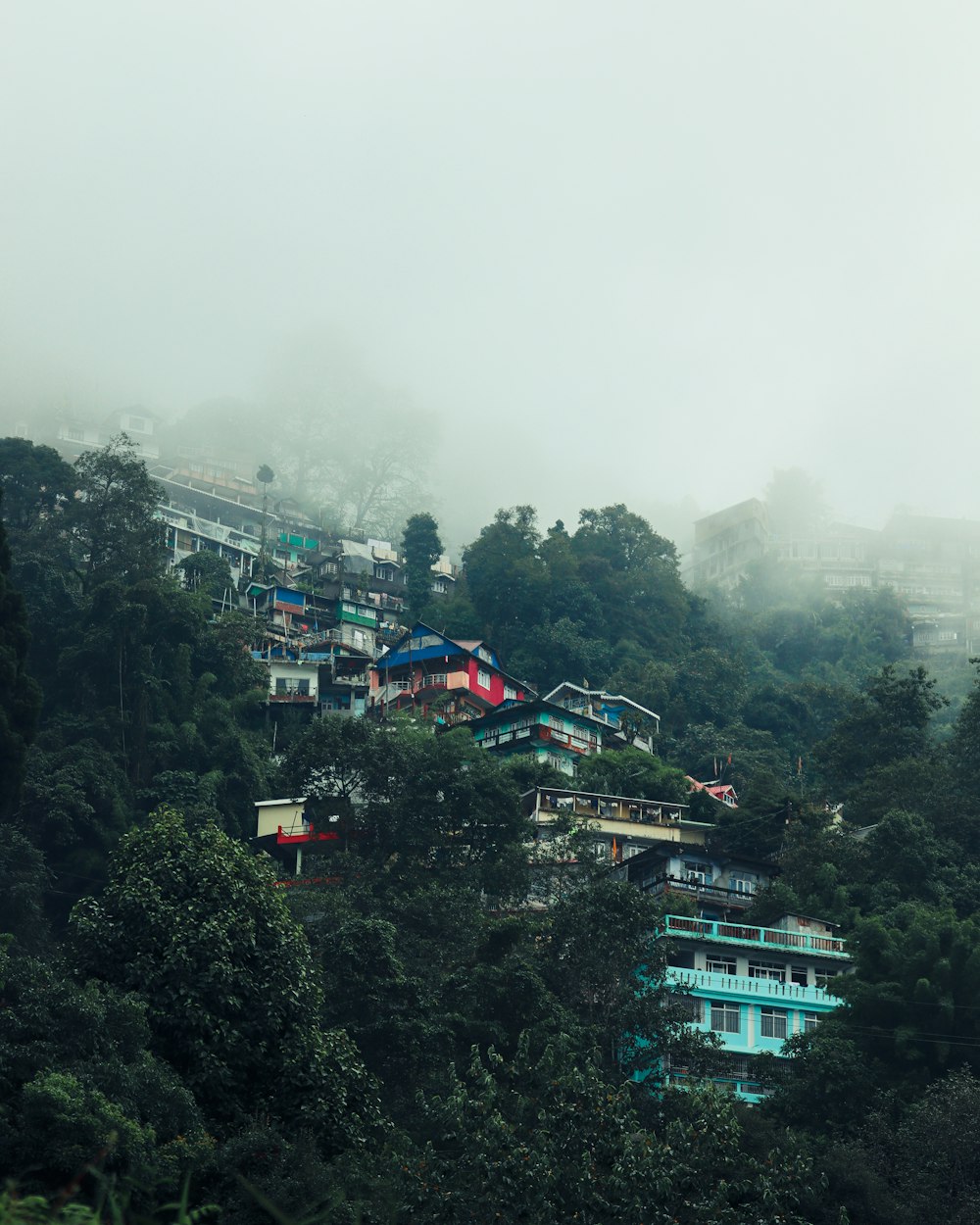 a group of buildings surrounded by trees