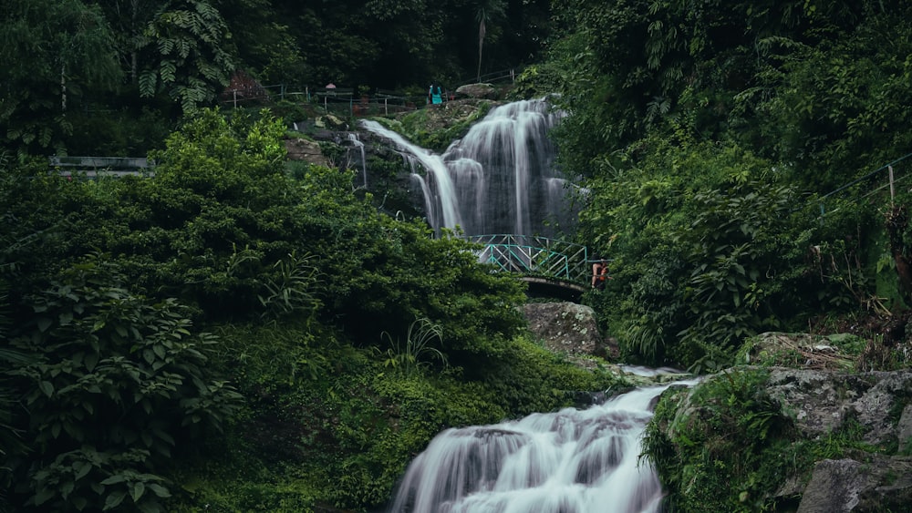 a waterfall in a forest