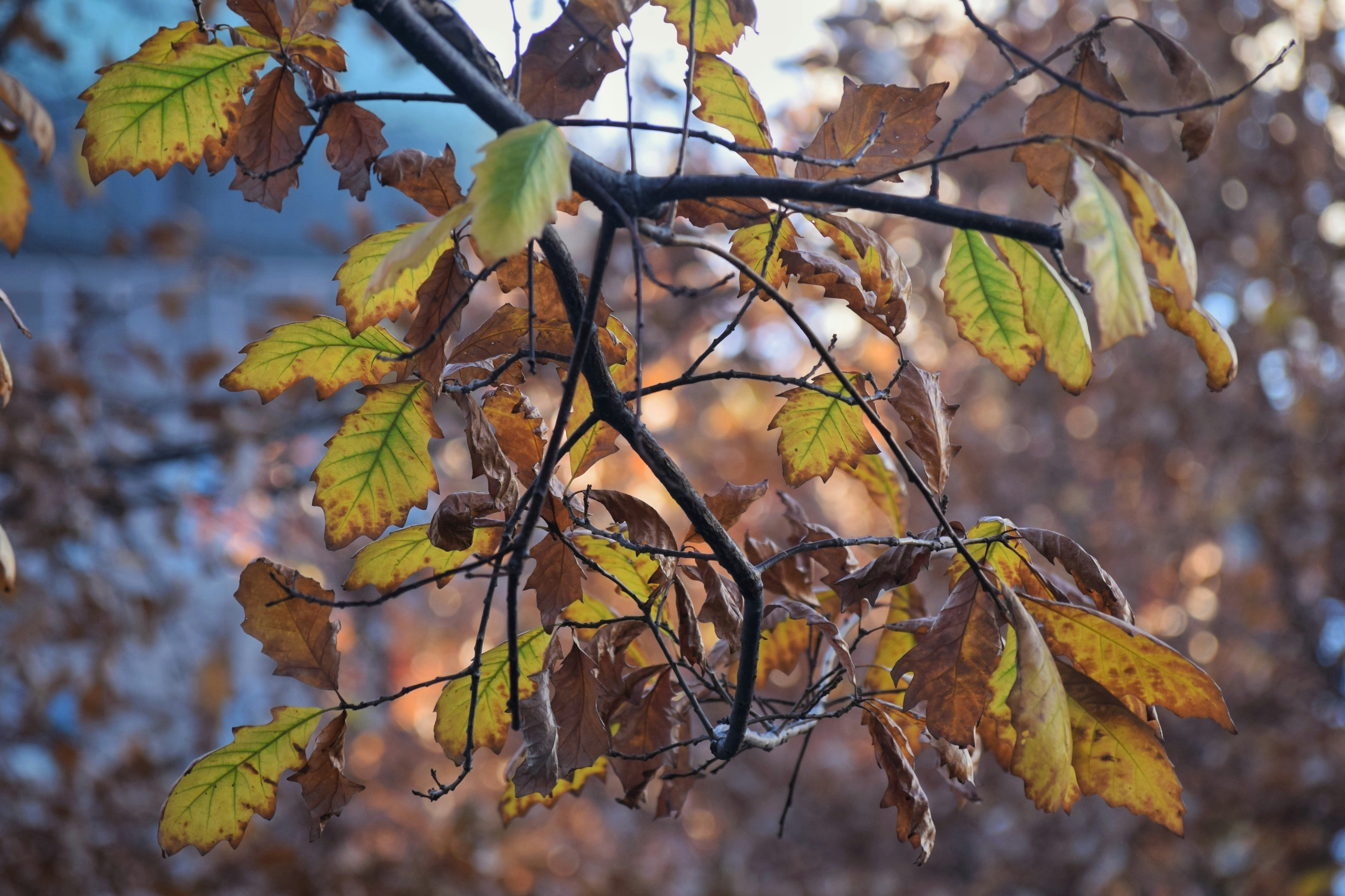 Photo by praswinprakashan