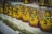 A row of gold-colored waving cat figurines enclosed in transparent cases is displayed on a shelf. Each cat is adorned with a red collar and stands on a base resembling a golden boat filled with coins. The background includes reflections and a dimly lit store ambiance.