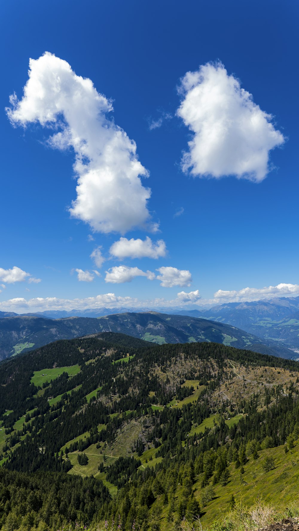 a landscape with trees and mountains