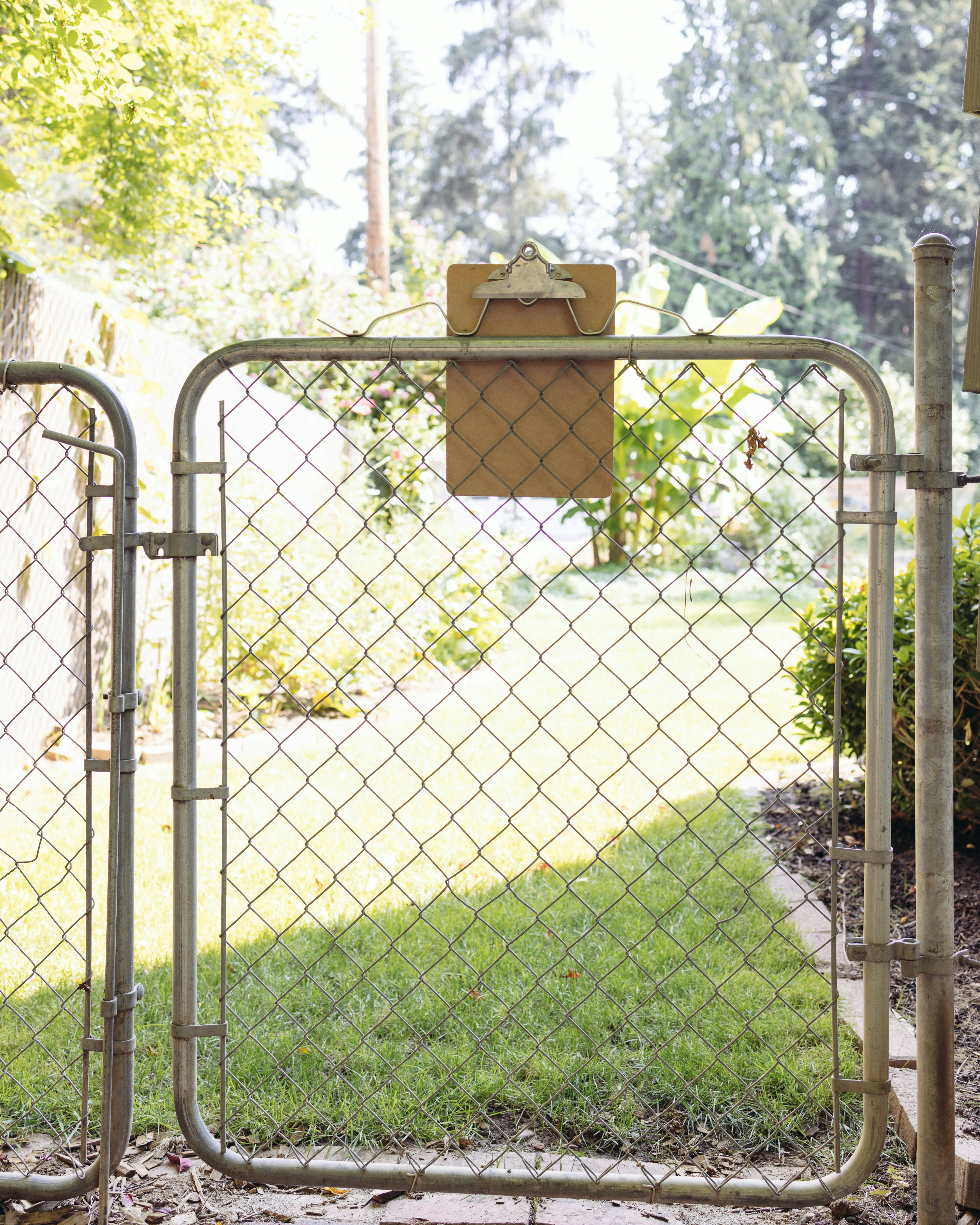 The Best Fencing Options for Your Homestead