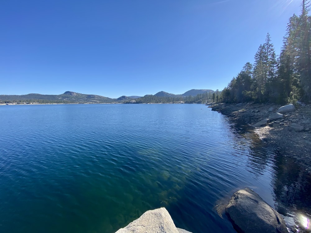 a body of water with trees and rocks around it